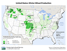 images\US\seasonalmap\USA_Winter_Wheat_preview.png